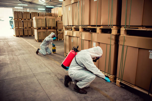 Best Ant Control Services  in Nappanee, IN