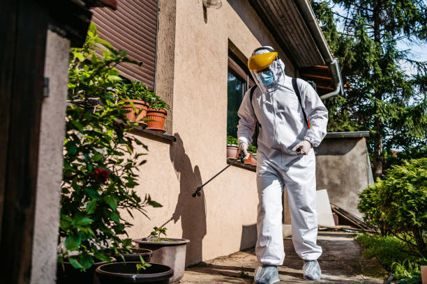 Best Affordable Pest Control Services  in Nappanee, IN