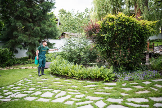Best Pest Removal Services  in Nappanee, IN