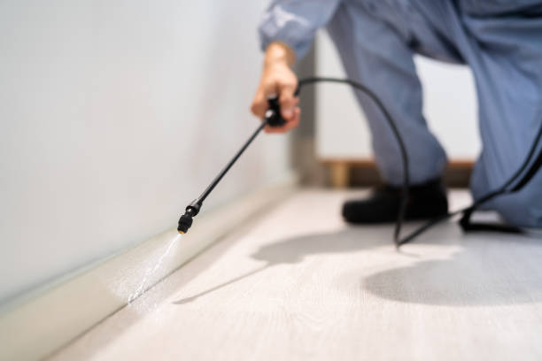 Best Flea Control Services  in Nappanee, IN