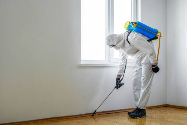 Best Exterminator Services  in Nappanee, IN