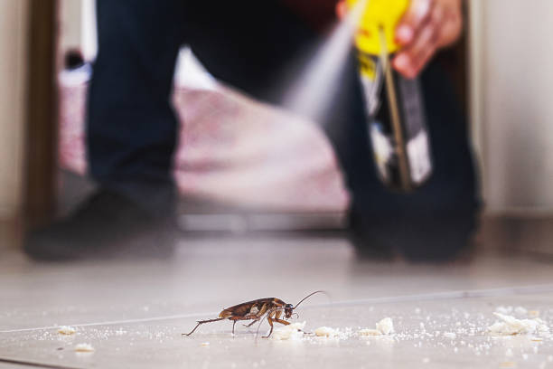 Best Pest Control Treatment  in Nappanee, IN