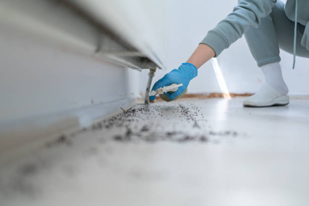 Best Insect Control  in Nappanee, IN